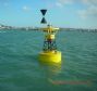 uhmwpe buoy